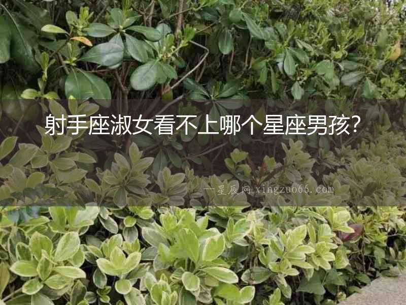 射手座淑女看不上哪個星座男孩？
