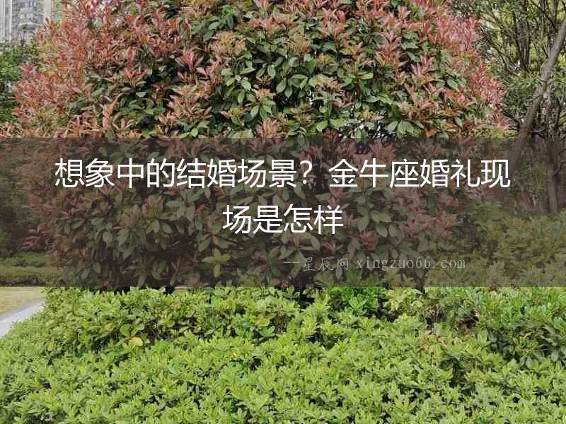 想象中的結(jié)婚場景？金牛座婚禮現(xiàn)場是怎樣