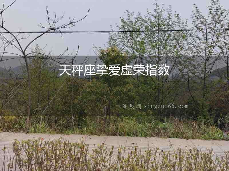 天秤座摯愛虛榮指數