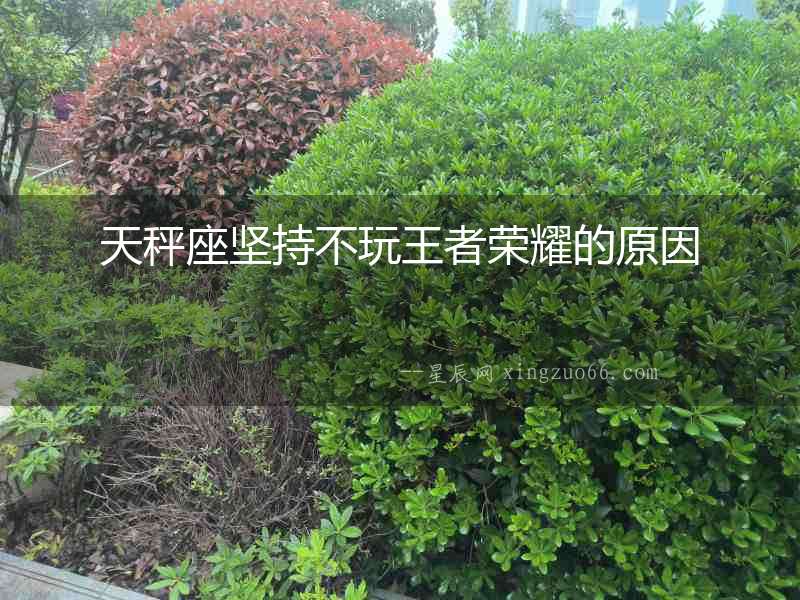 天秤座堅持不玩王者榮耀的原因