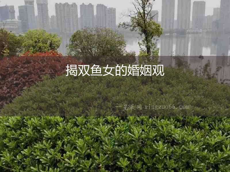 揭雙魚女的婚姻觀