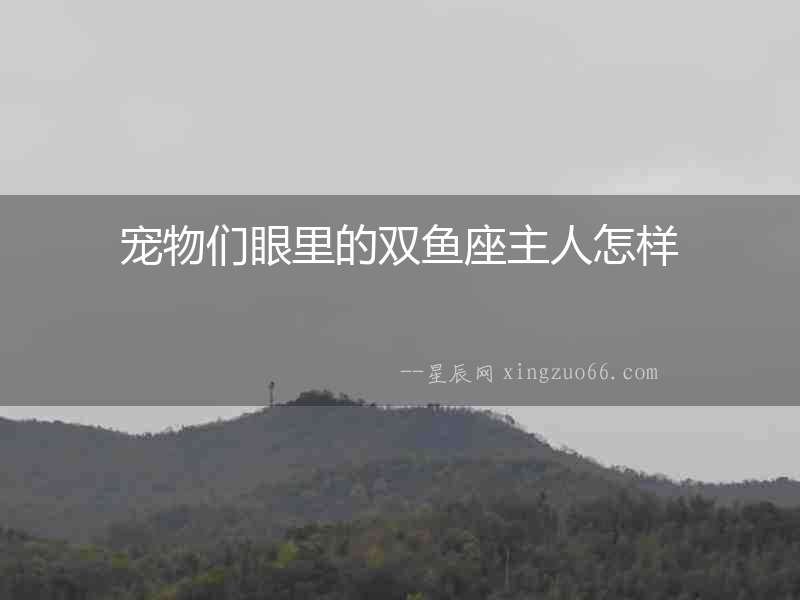 寵物們眼里的雙魚座主人怎樣