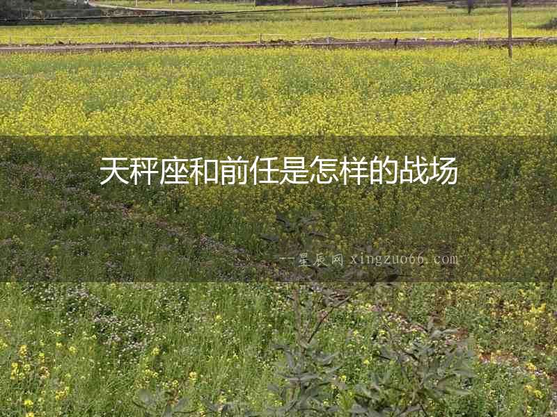 天秤座和前任是怎樣的戰(zhàn)場(chǎng)