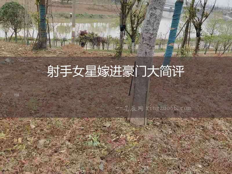 射手女星嫁進豪門大簡評