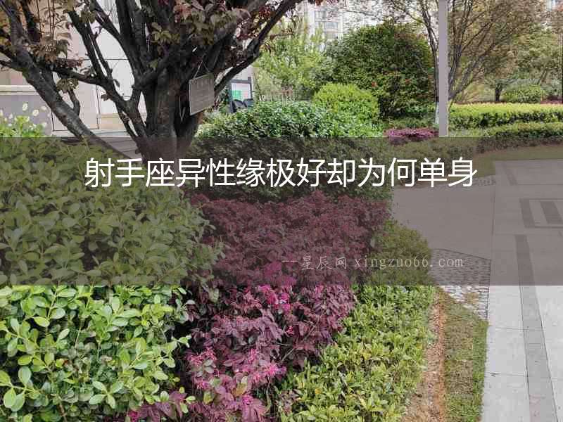 射手座異性緣極好卻為何單身