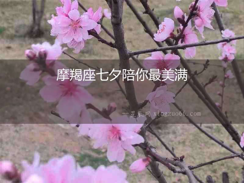 摩羯座七夕陪你最美滿