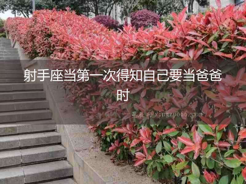 射手座當第一次得知自己要當爸爸時