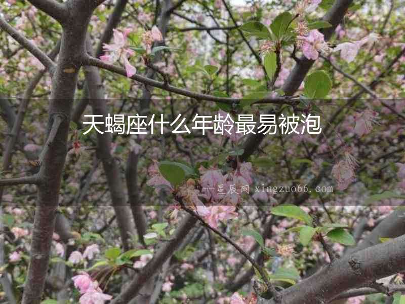 天蝎座什么年齡最易被泡