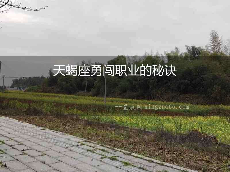 天蝎座勇闖職業(yè)的秘訣