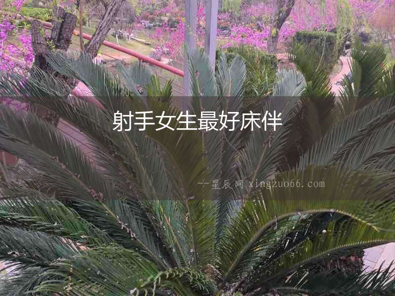 射手女生最好床伴
