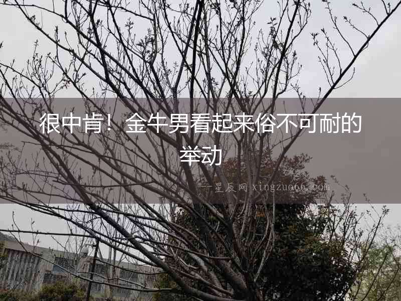 很中肯！金牛男看起來(lái)俗不可耐的舉動(dòng)