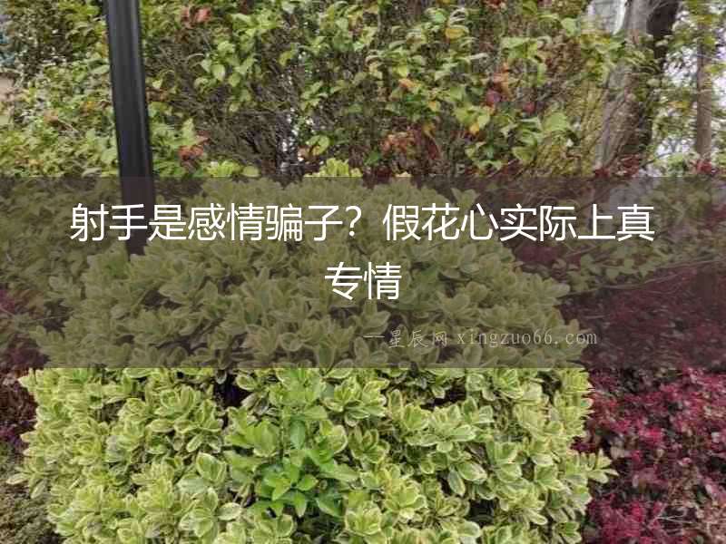 射手是感情騙子？假花心實際上真專情
