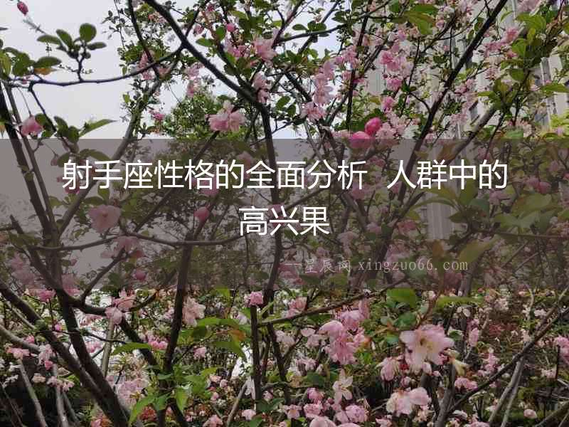 射手座性格的全面分析  人群中的高興果