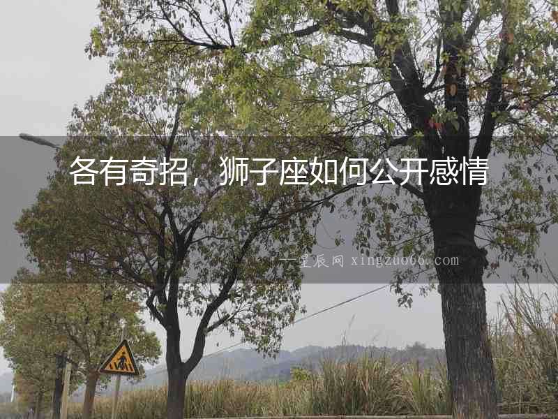 各有奇招，獅子座如何公開感情