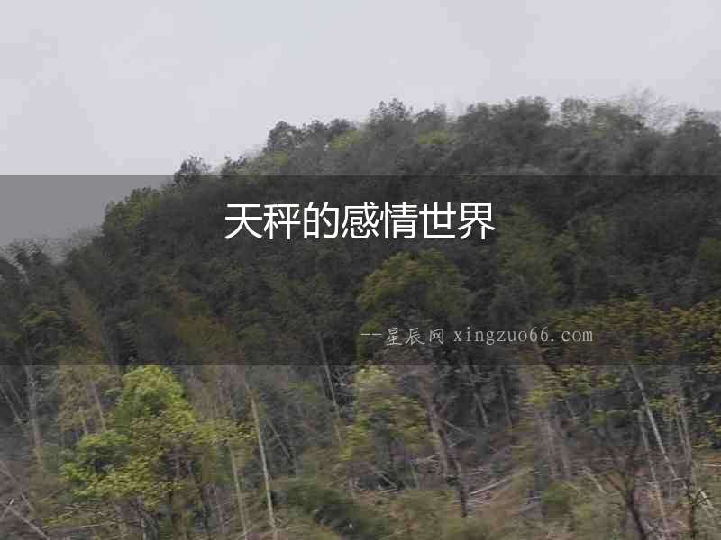 天秤的感情世界