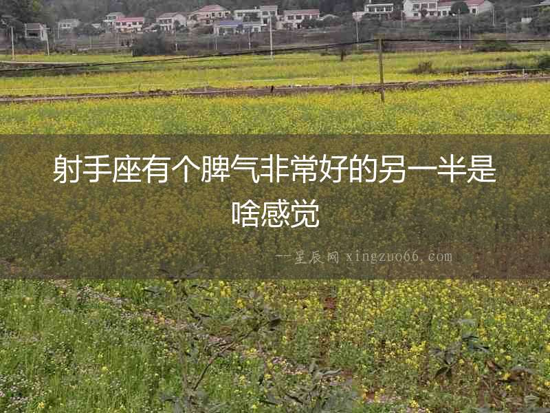射手座有個(gè)脾氣非常好的另一半是啥感覺(jué)