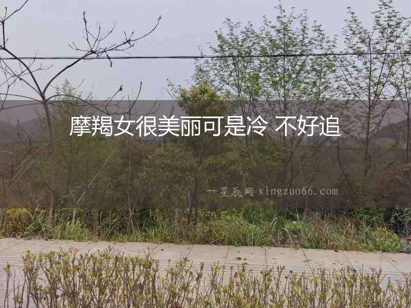 摩羯女很美麗可是冷 不好追