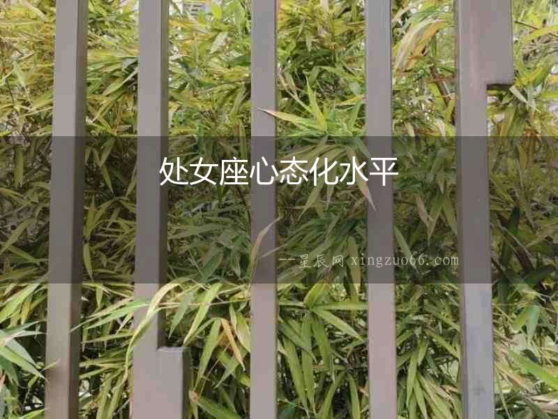 處女座心態化水平