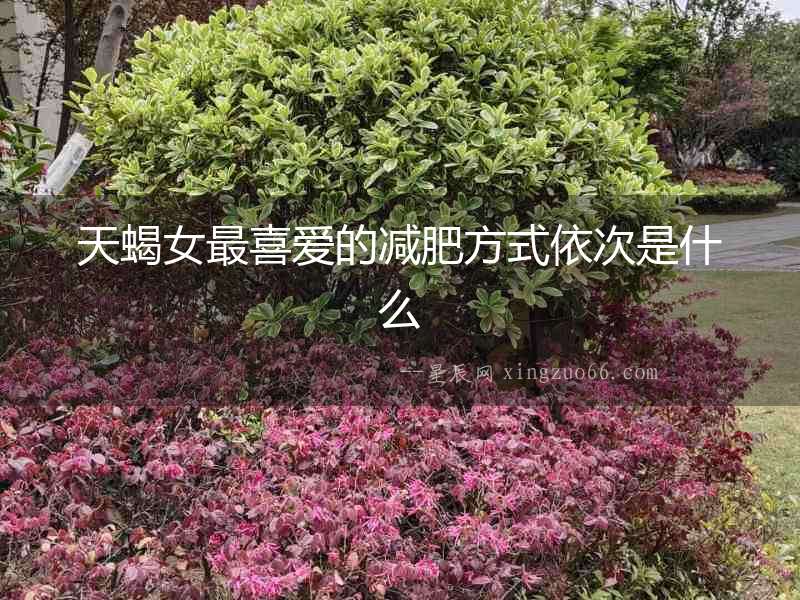 天蝎女最喜愛的減肥方式依次是什么