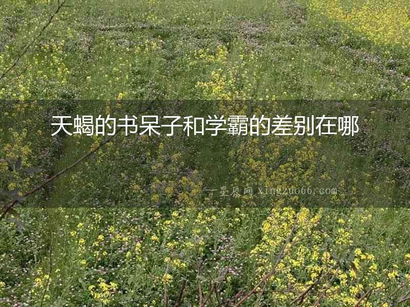 天蝎的書呆子和學霸的差別在哪