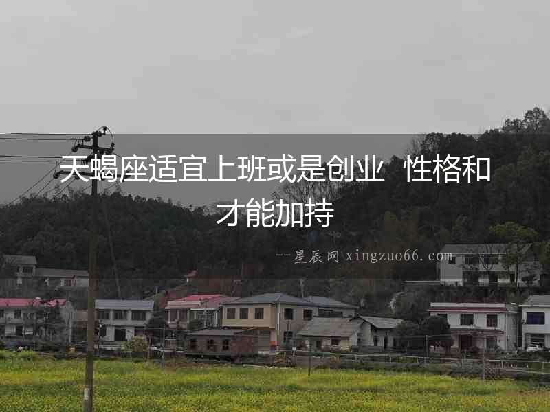 天蝎座適宜上班或是創業  性格和才能加持