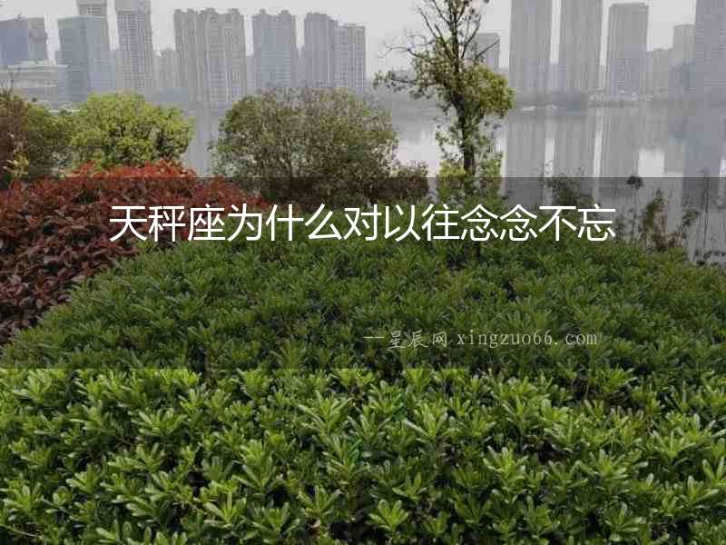 天秤座為什么對以往念念不忘