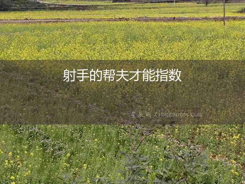 射手的幫夫才能指數