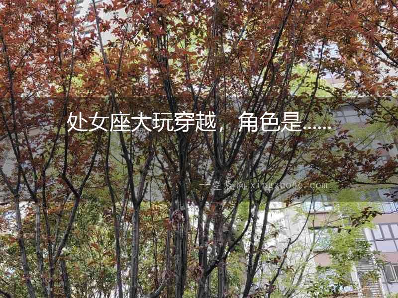 處女座大玩穿越，角色是......