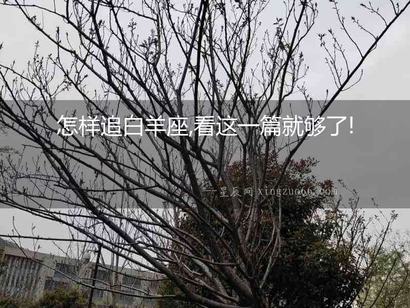 怎樣追白羊座,看這一篇就夠了!