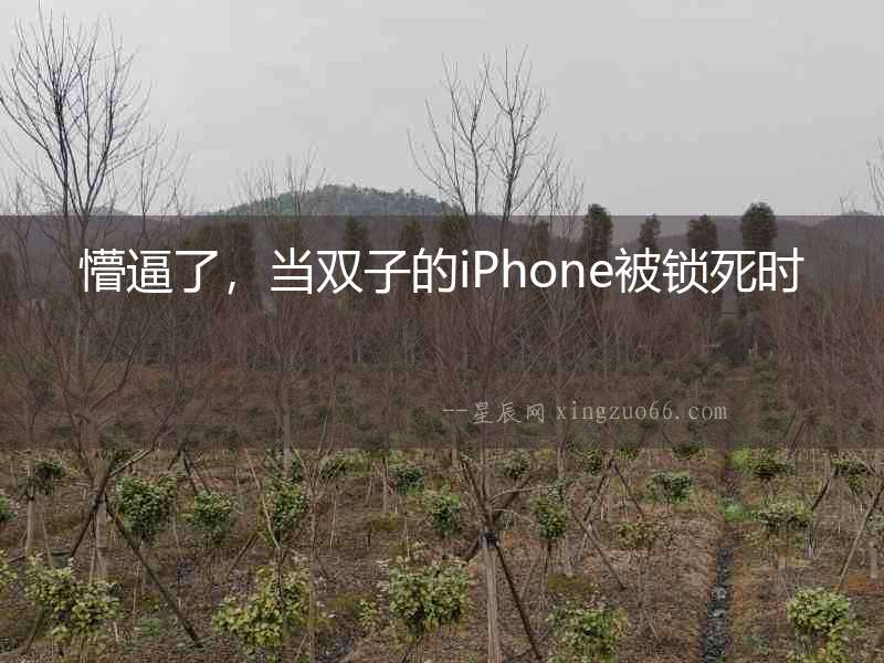 懵逼了，當雙子的iPhone被鎖死時