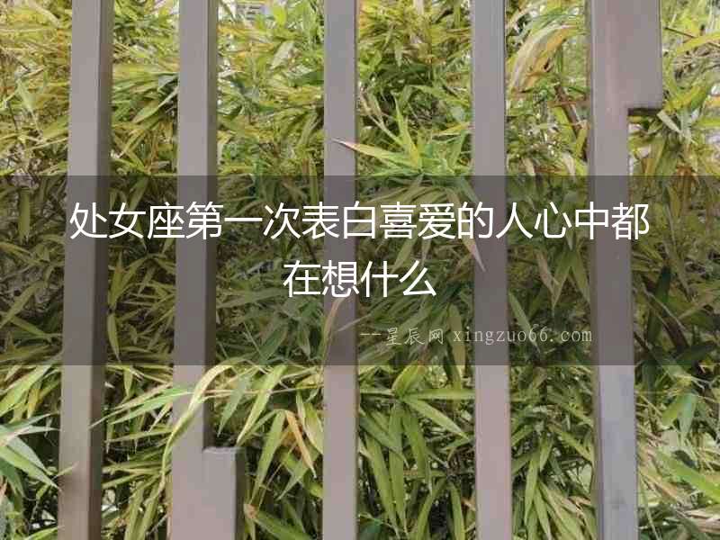 處女座第一次表白喜愛的人心中都在想什么