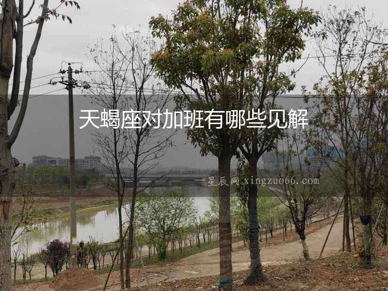 天蝎座對(duì)加班有哪些見(jiàn)解