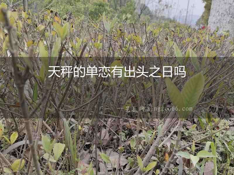 天秤的單戀有出頭之日嗎