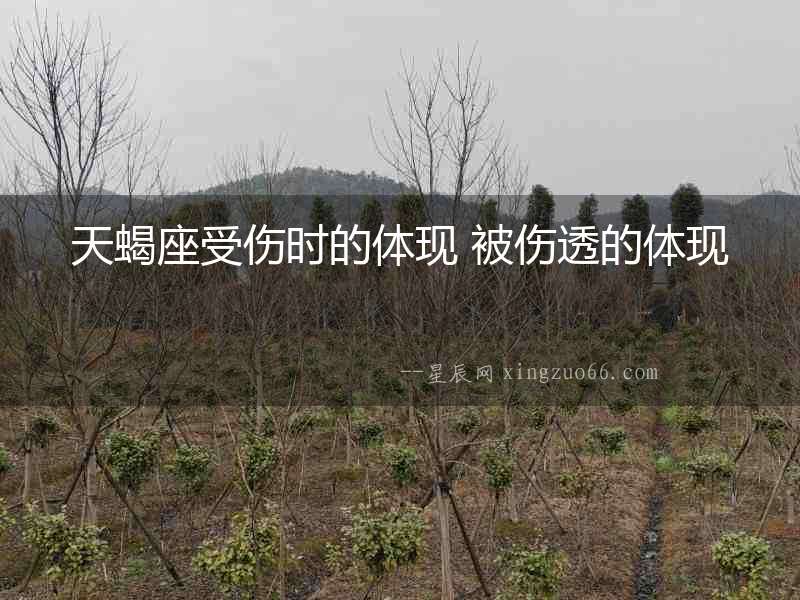 天蝎座受傷時的體現(xiàn) 被傷透的體現(xiàn)