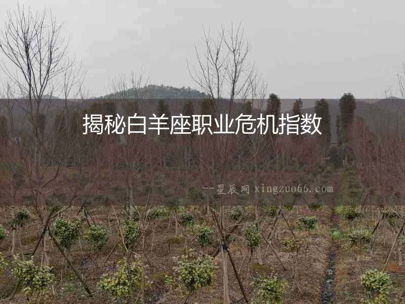 揭秘白羊座職業危機指數