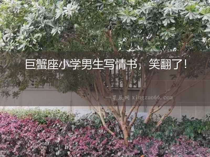 巨蟹座小學男生寫情書，笑翻了！