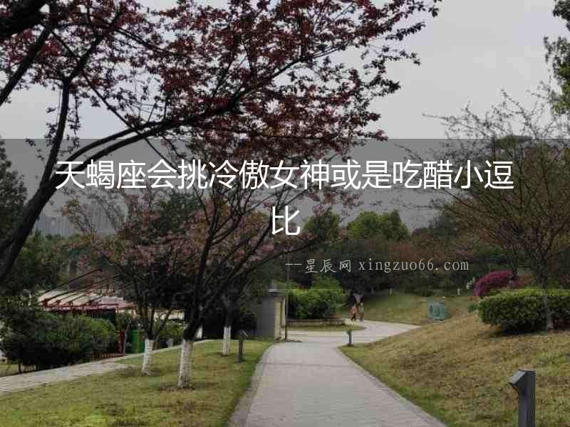 天蝎座會挑冷傲女神或是吃醋小逗比