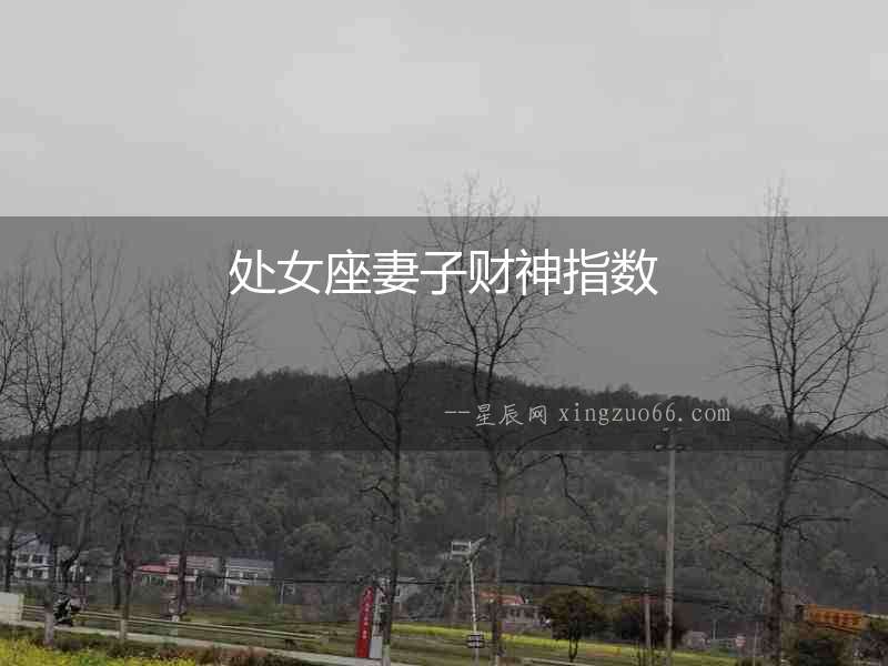 處女座妻子財神指數