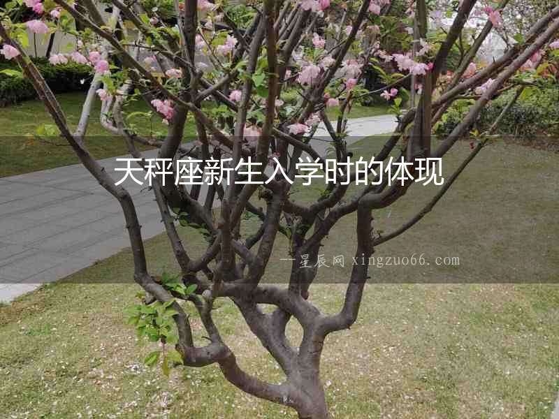 天秤座新生入學時的體現