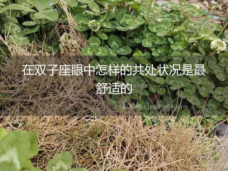 在雙子座眼中怎樣的共處狀況是最舒適的