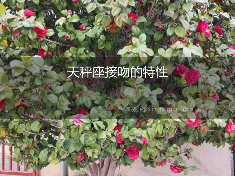 天秤座接吻的特性