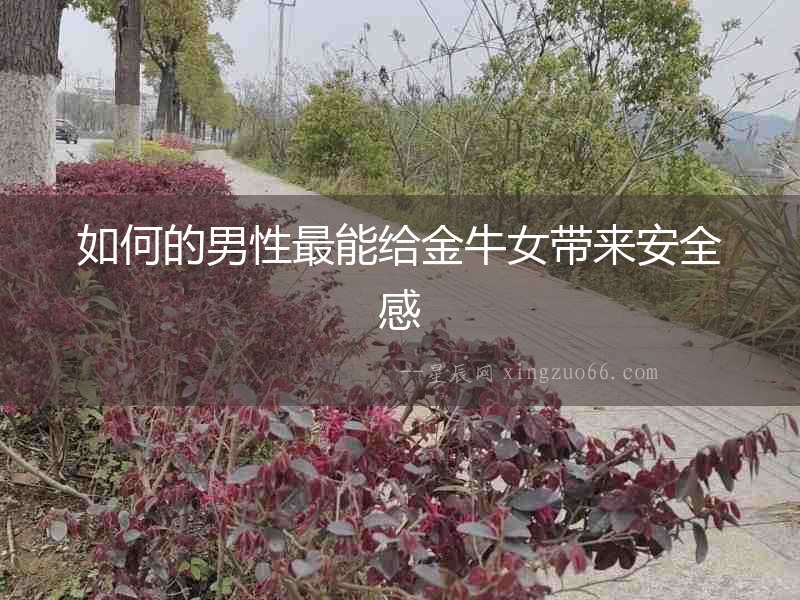 如何的男性最能給金牛女帶來安全感