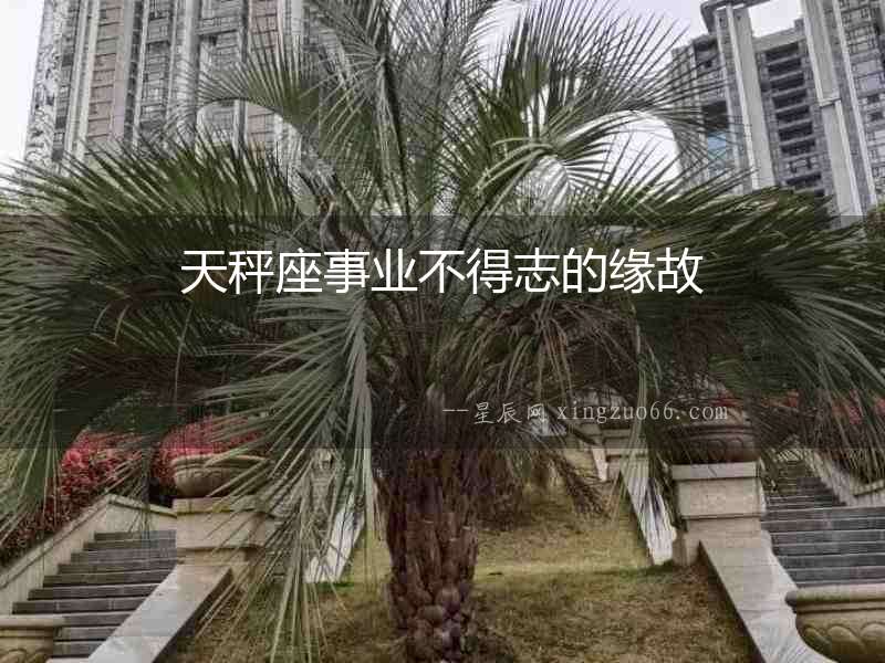 天秤座事業不得志的緣故