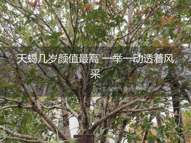 天蝎幾歲顏值最高 一舉一動(dòng)透著風(fēng)采