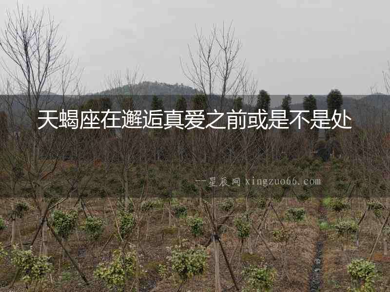 天蝎座在邂逅真愛之前或是不是處