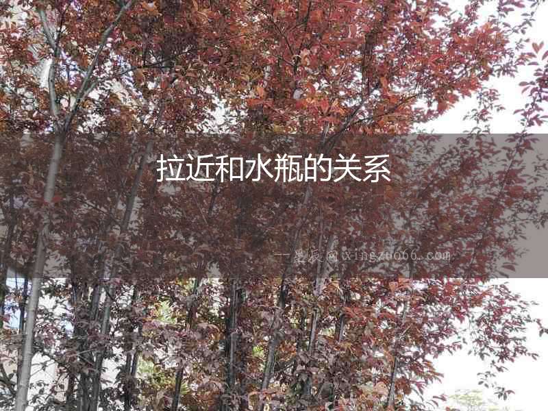 拉近和水瓶的關(guān)系