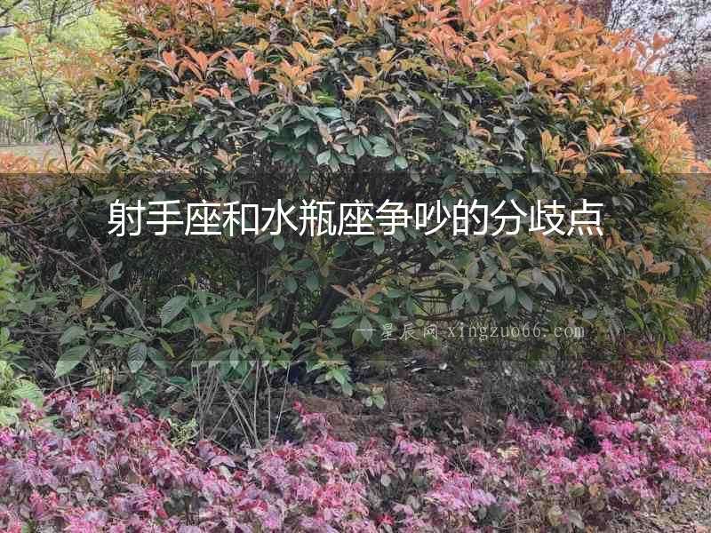 射手座和水瓶座爭吵的分歧點