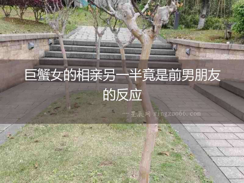 巨蟹女的相親另一半竟是前男朋友的反應