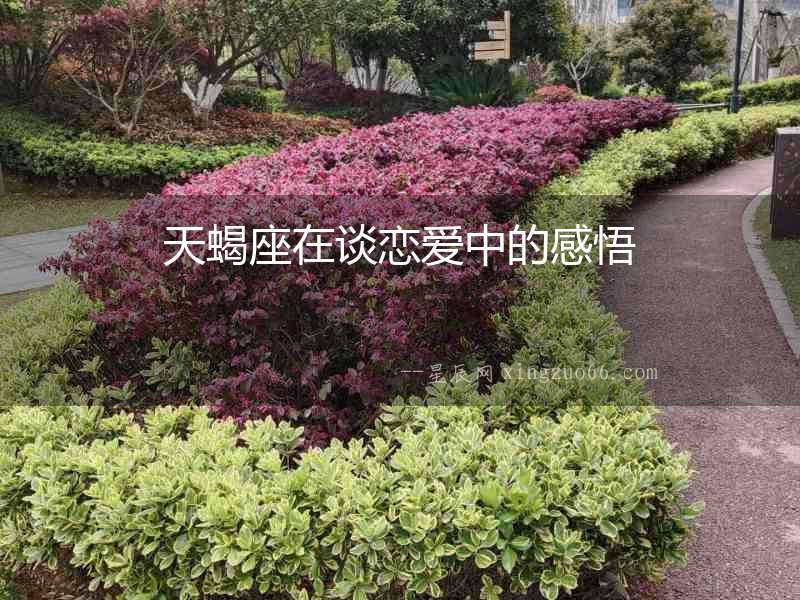 天蝎座在談戀愛中的感悟