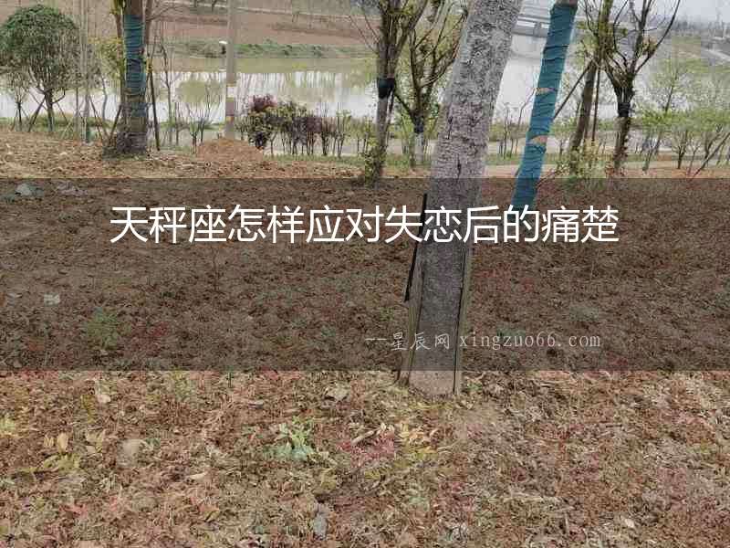 天秤座怎樣應對失戀后的痛楚